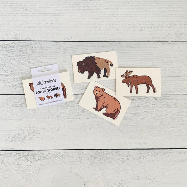 Bear Moose Bison Compostable Pop Up Sponge - set of 3