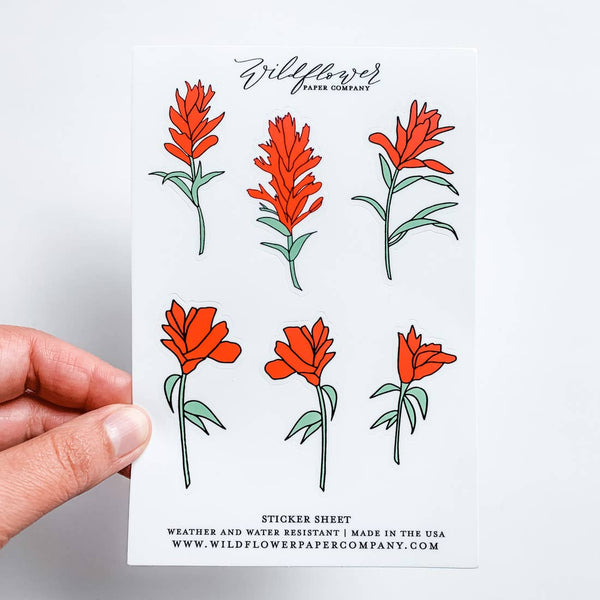 Indian Paintbrush Flower Sticker Sheet