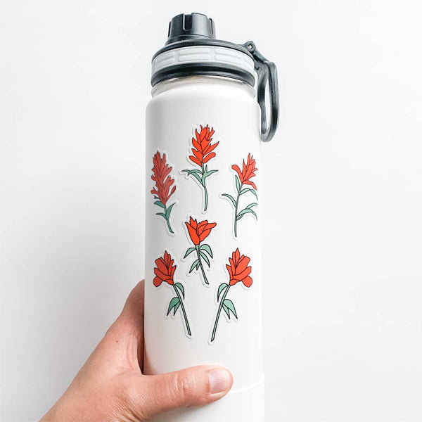 Indian Paintbrush Flower Sticker Sheet