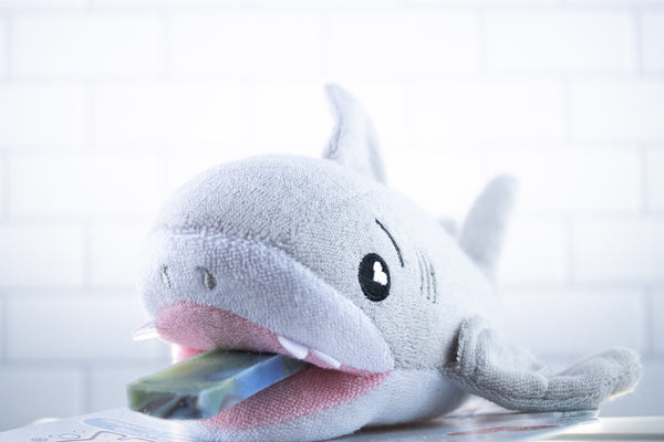Tank the Shark
