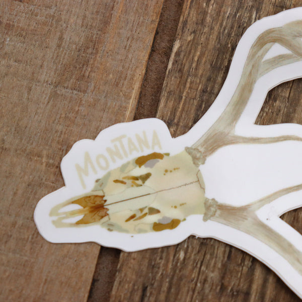 MT Deer Skull