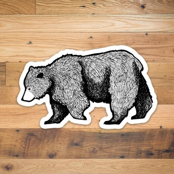 Bear Sticker