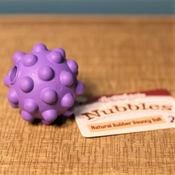 Purple Nubbles - Rubber Ball