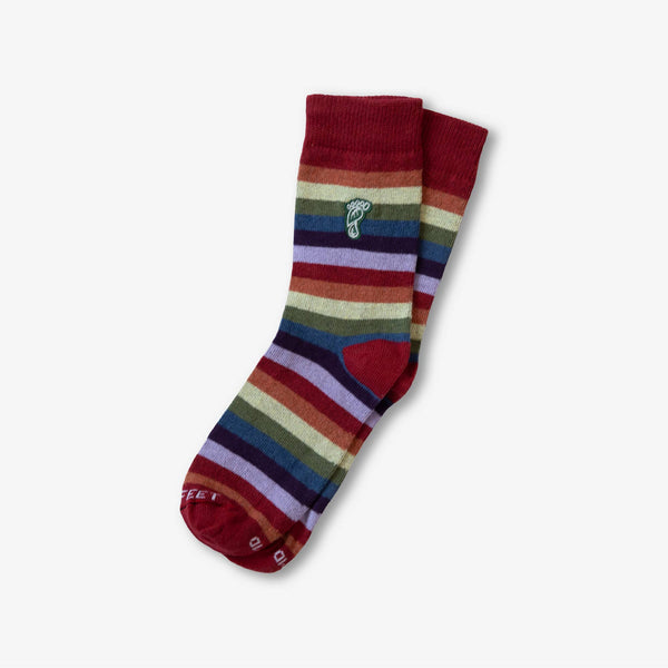 Rainbow Socks