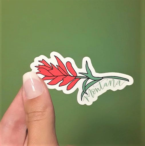 Montana Indian Paintbrush Flower Sticker